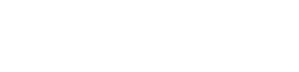 MiroTech Group